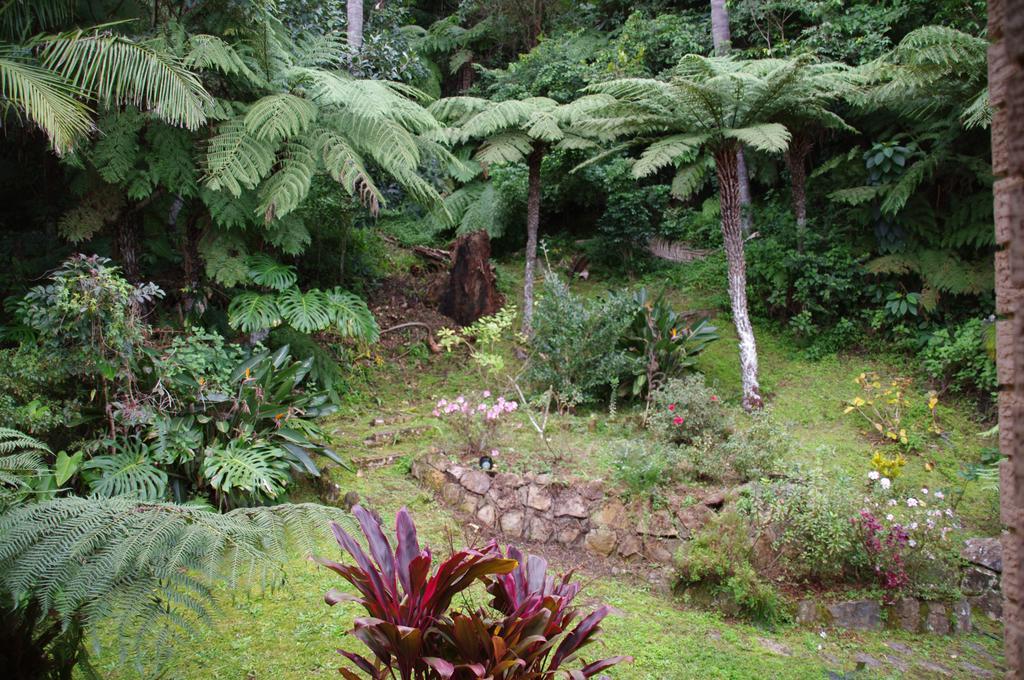 Marcel Towers Holiday Apartments Nambucca Heads Exterior foto